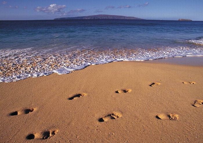 footprints-in-the-sands-of-time.jpg